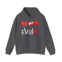 Load image into Gallery viewer, Evolve 2.0 Hoodie
