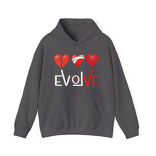 Load image into Gallery viewer, Evolve 2.0 Hoodie
